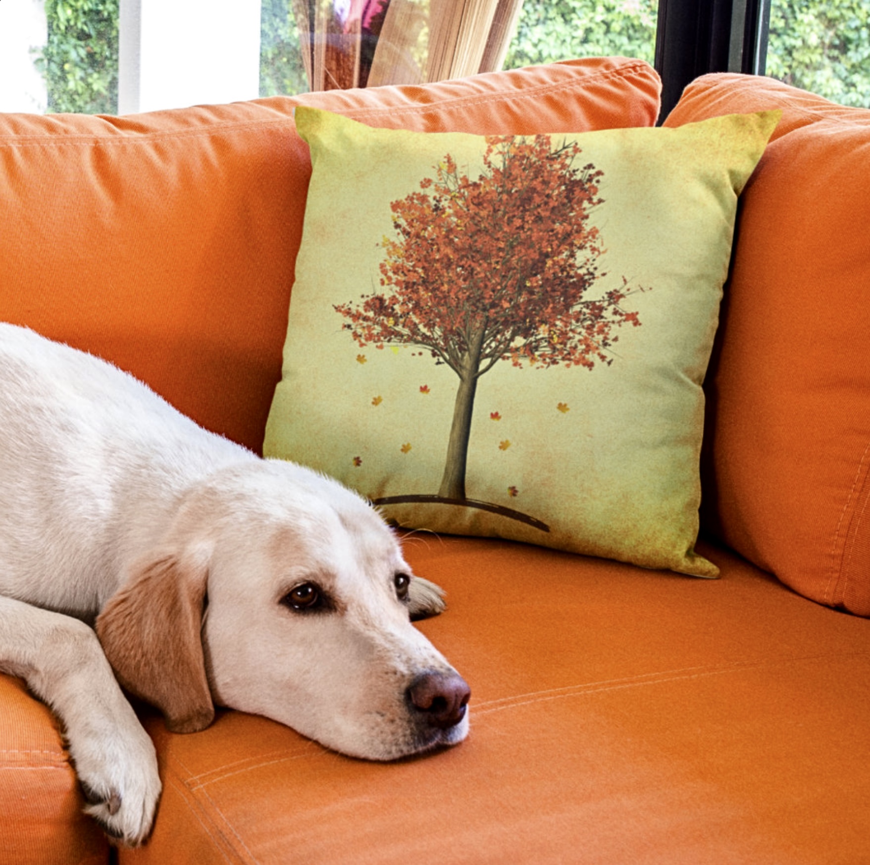 Yellow throw pillow with red maple tree design.